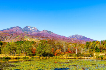 【紅葉イメージ】いもり池から眺める妙高山