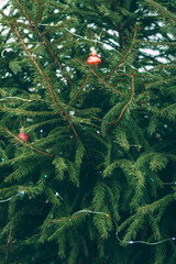 Christmas toys on a green background. Christmas tree branches. Background of the tree texture. The concept of a New year. Christmas, New year. Happy New Year. The concept of nature