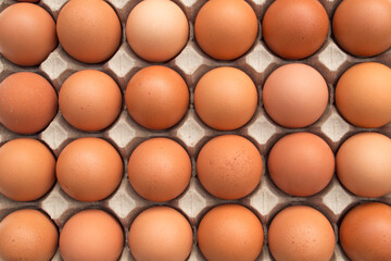 Fresh chicken eggs in paper trays.