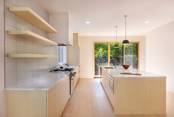 modern spacious kitchen interior