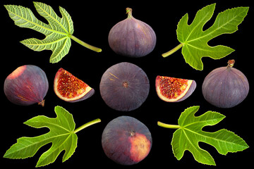 Purple fig and leaf closeup collection