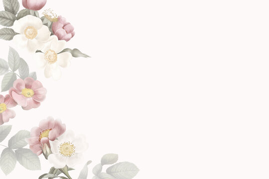 Pink Floral Frames Background