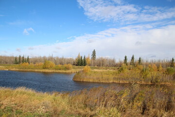 Fototapeta na wymiar Autumn On The Land, Pylypow Wetlands, Edmonton, Alberta