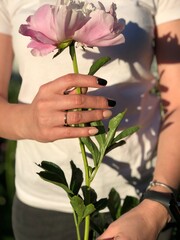 Beautiful girl holding pink rose, vertical photo