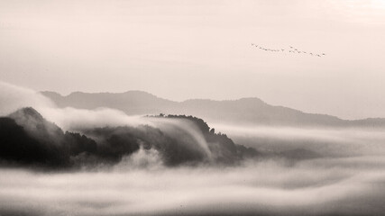 Ink style sea of ​​clouds scenery