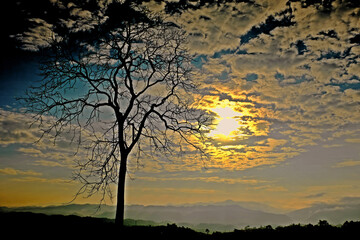 Naklejka premium Beautiful sunrise sky and cloud with silhouette tree at foreground and gorgeous view of the fog moves along the mountains in the mountain range background.