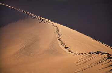 Spuren im Sand - Dünen in der Sahara - Marokko
