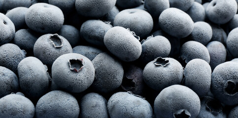 Tasty frozen blueberries as background, closeup view