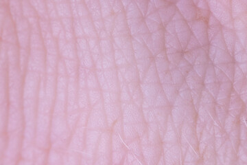 Human skin texture, lines and wrinkles with blonde haird on surface