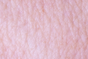 Human skin texture, lines and wrinkles with blonde haird on surface