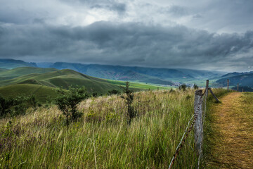 Photography of beautiful grassland scenery