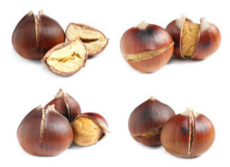 Set of sweet roasted edible chestnuts isolated on white