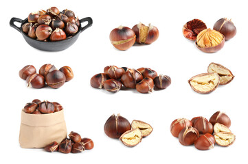 Fototapeta na wymiar Set of sweet roasted edible chestnuts isolated on white
