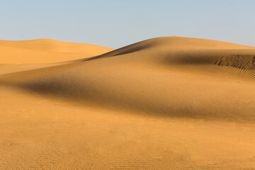 sand dunes in the desert