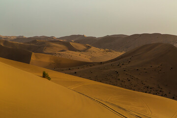 Fototapeta na wymiar Photography picture of desert scenery 