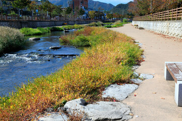 시냇물이 보이는 아름다운 풍경