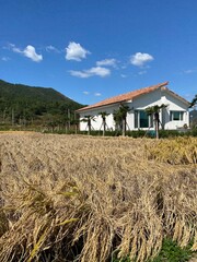 house on the hill