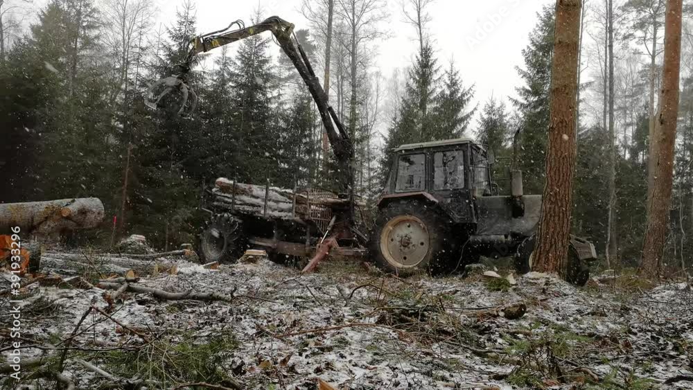Poster forestry machine loading logs in the forest during snowstorm - wide shot