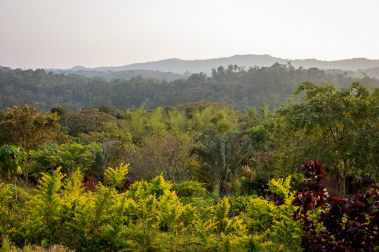 Beautiful Landscape View Of The Hills Along Coorg (Kodagu District) Karnataka, India. Selective Focus.