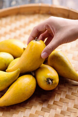 Eggfruit or canistel holding by hand, Thai fruit, In Thai names such as Xiantao, Lamut Khamen or Mon khai
