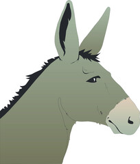 Dead of donkey vector illustration