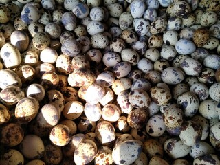 Quail eggs in the box basket