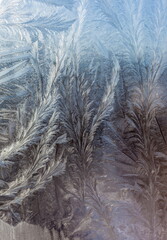 Frosty pattern on window glass