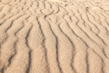 Fototapeta na wymiar Rippled small sand on sea coast. Dunes on beach formed by wind and water.