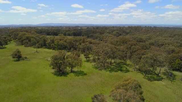 Slow aerial rise above native australian bush revealing horizon under beautiful blue sky