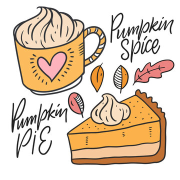 Pumpkin spice and Pumpkin pie. Hand drawn sketch. Line art style.