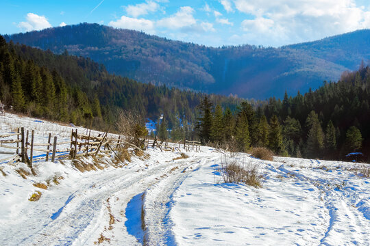 carpathian countryside on a sunny winter day. beautiful mountainous rural landscape. fence along the road through snow covered meadow among spruce forest on the hill