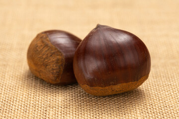 栗【秋の味覚】