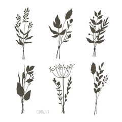 Set of floral elements. Botanical collection. bunches of wild herbs. Flowers, leaves, branches and other natural elements.