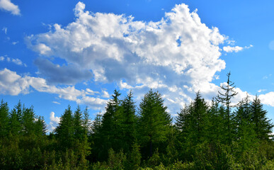 Fototapeta premium sky and clouds