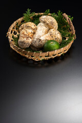 松茸【秋の味覚】