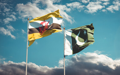 Beautiful national state flags of Pakistan and Brunei.