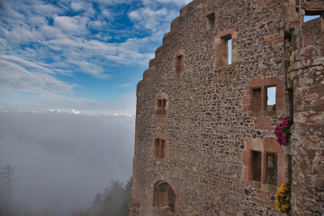 Burgruine Hohengeroldseck an einem nebeligen Novembertag