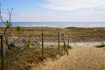 sandy access to french sea beach of atlantic ocean in summer