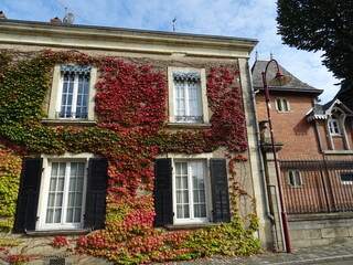 old house facade covered with red and green ivy  in a small village in France