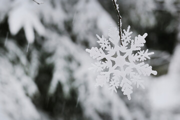 Winter season. Winter holidays time. White decorative snowflake on a snowy forest blurred background. Snowflake and fir trees in the snow in the winter forest. Winter  nature background