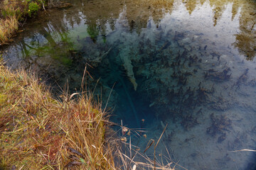 Blue spring lake in Estonia.