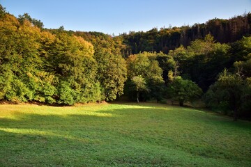Sunny walk through Radotin Valley, a nature reserve in Czech Karst near Prague, Czech Republic. Water mill called Taslaruv Mlyn is part of this trail.