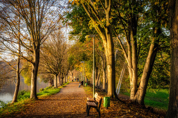 Herbst Weg am Baldeneysee in Essen