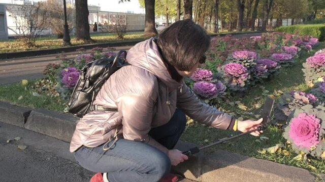 A middle-aged brunette, Caucasian woman with short hair, in a brown jacket, a video blogger walks down the street and takes pictures of flowers in a flower bed. sunny day