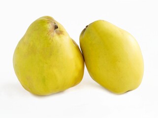 yellow,sour and hard fruits of quinces close up