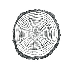 Cross section of tree stump. Doodle style. Isolated vector illustration icon on a white background. Design for stickers, logo, web and mobile app.