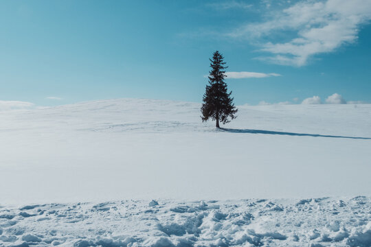 「箒目」の画像 17,103 件の Stock 写真、ベクターおよびビデオ Adobe Stock