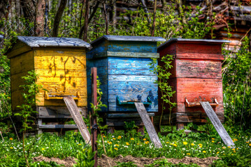 Beehives in the Village of Vlkolinec, Slovakia