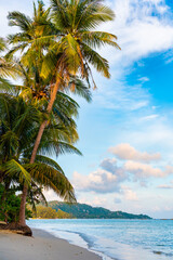 vertical photo, beach on Koh Samui in Thailand, paradise, sunny beach, coconuts and palm trees, sunbathing and swimming in the sea, blue ocean and sky, travel to the resort, relaxation and enjoyment