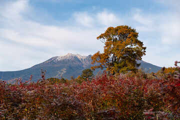 柿の開田高原から見た御嶽山